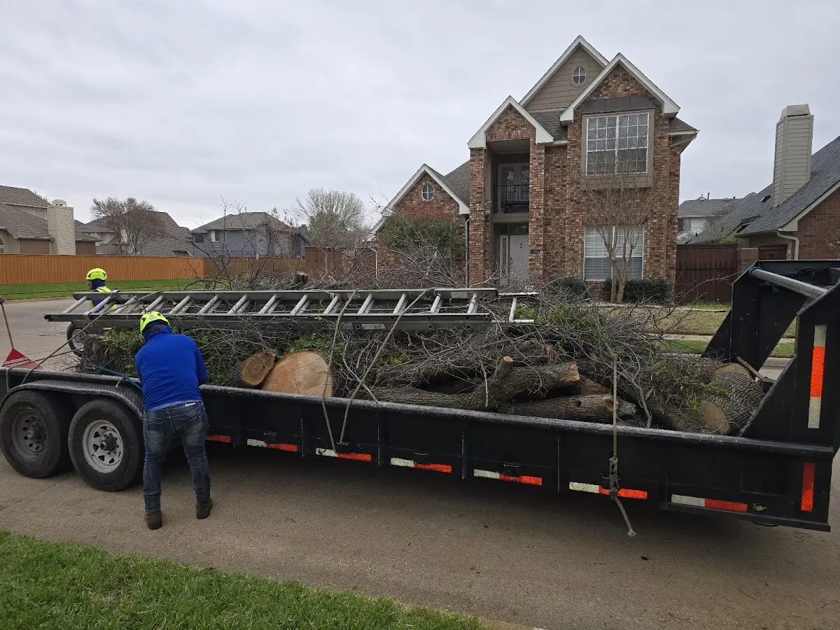 Expert Lot Clearing with proper safety equipment in Atkinson